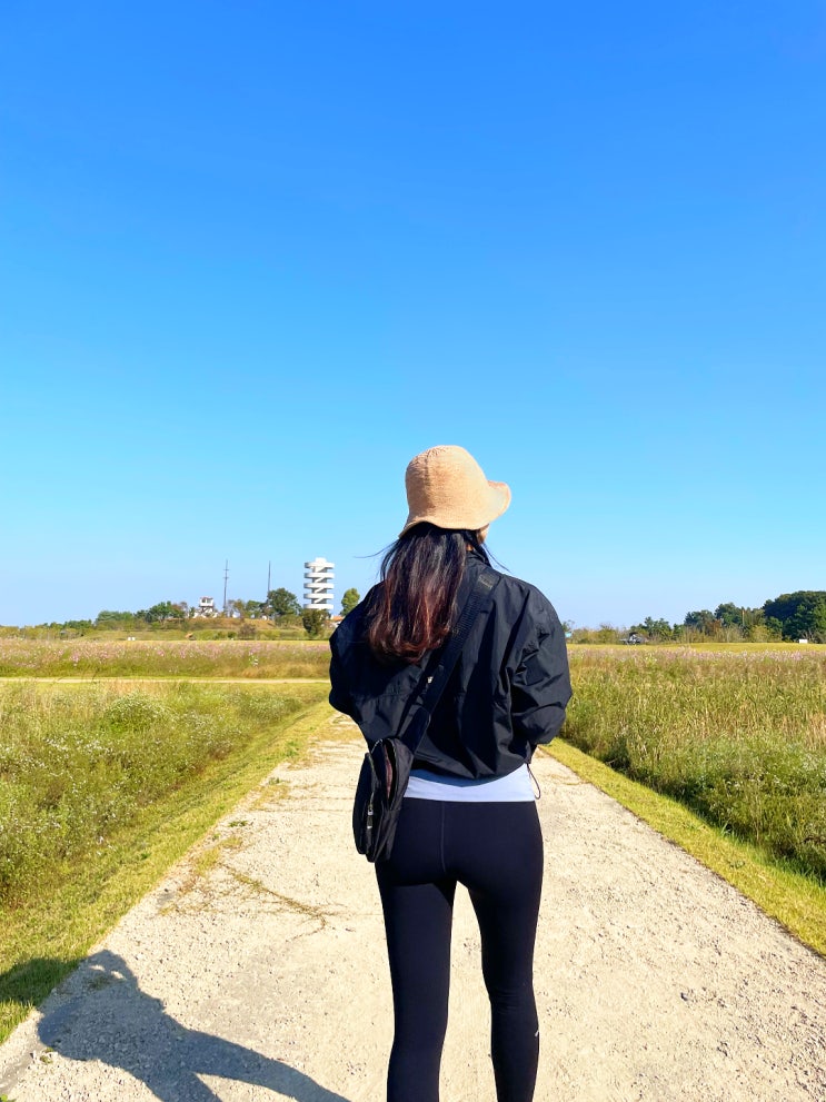  수도권 당일치기 여행 추천! 매향리 평화생태공원에서 신나는 힐링 산책 코스