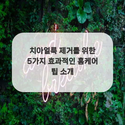  치아얼룩 제거를 위한 5가지 효과적인 홈케어 팁 소개