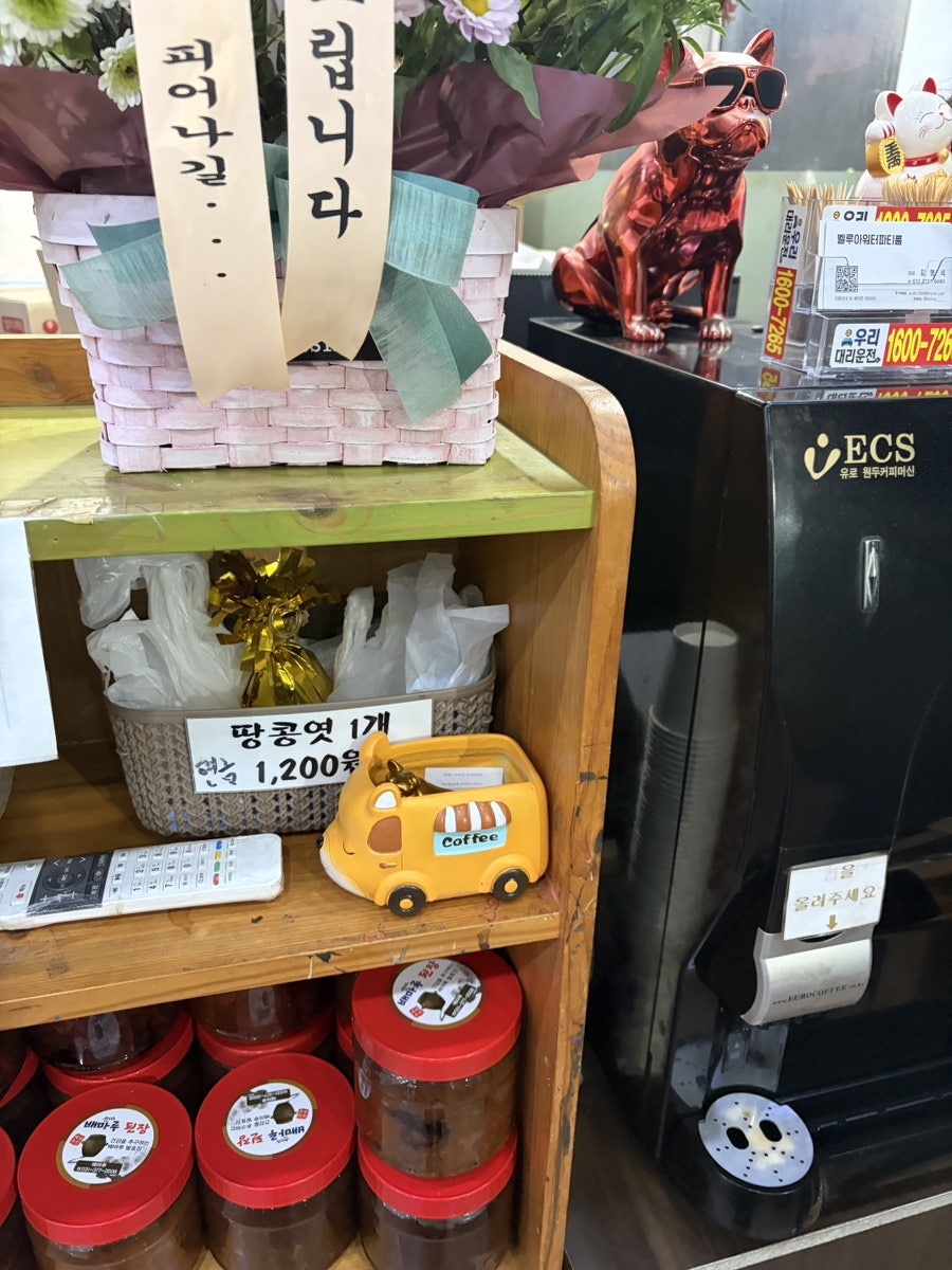 배마루 사진 3