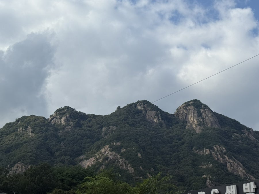여명 사진 3