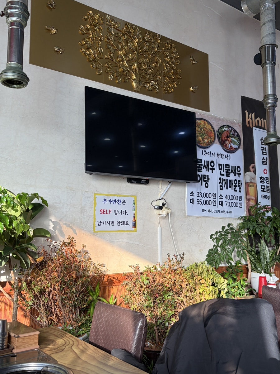 배마루 사진 4