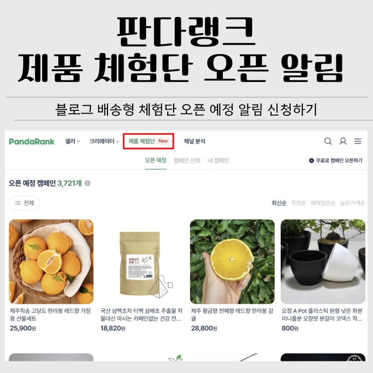 판다랭크 블로그 체험단 추천｜배송형 체험단 오픈 알림 신청 후기