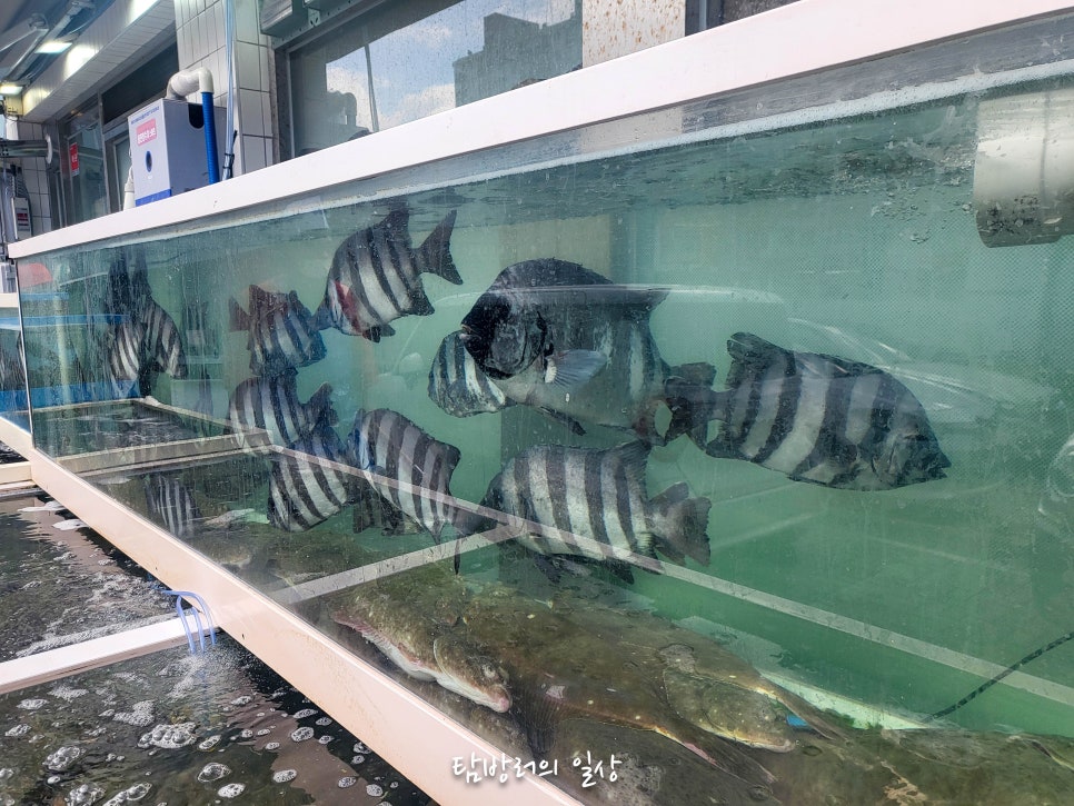 철따라자연산 사진 2