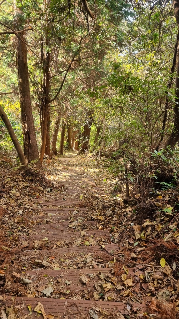 월라산 사진 5