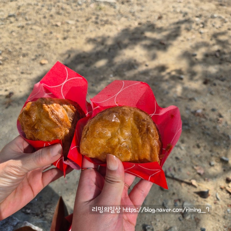  후쿠오카 텐진 먹거리 모음집 위치, 결제 방법(링고 애플파이, 낭클, 텐텐, 칼디, 이모야킨지로)