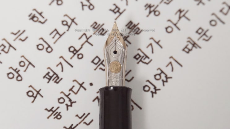 문구에 대해 뭘 좀 아시는 분 (만년필로 소설구절 필사하기 ️ 펠리칸 400NN EF닙 만년필)