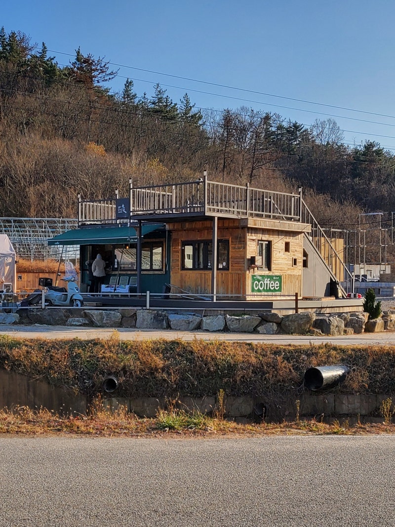 사진 5