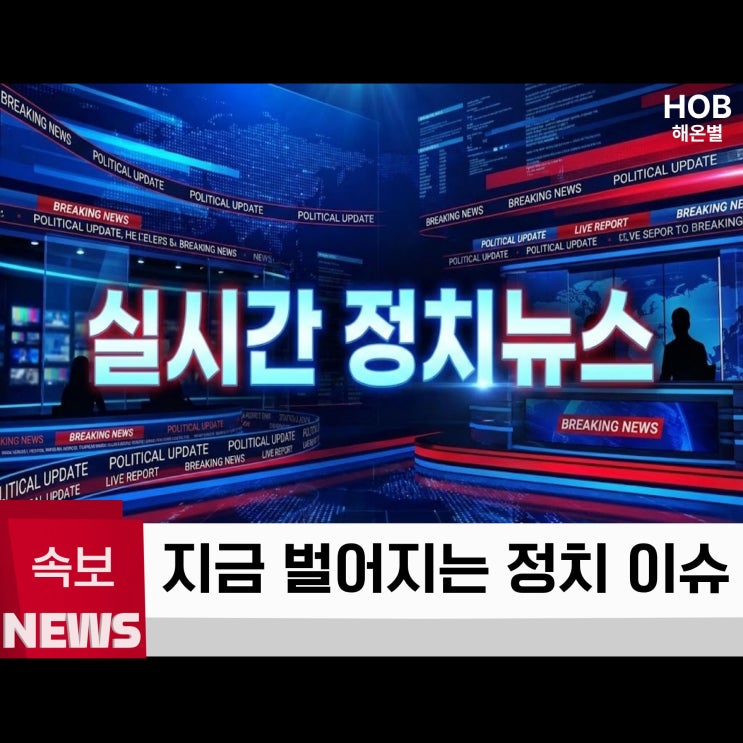  2025년 12월 연말 정국 정리 정치 뉴스 한눈에