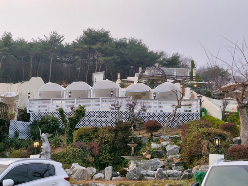 사진 2