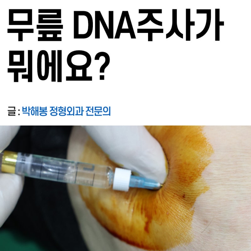 DNA주사 성분, 효과, 가격 (콘쥬란주사)