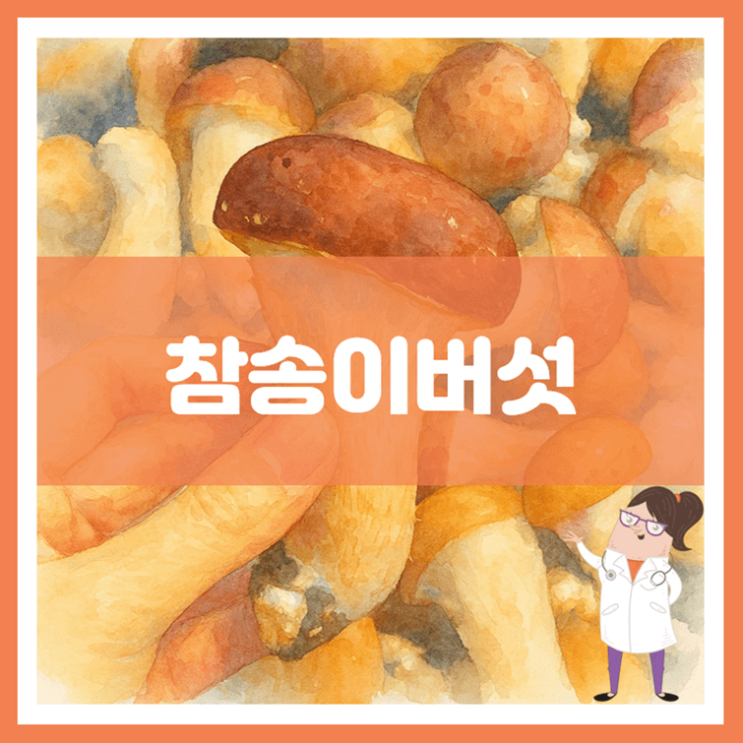  참송이버섯 효능 부작용 보관방법