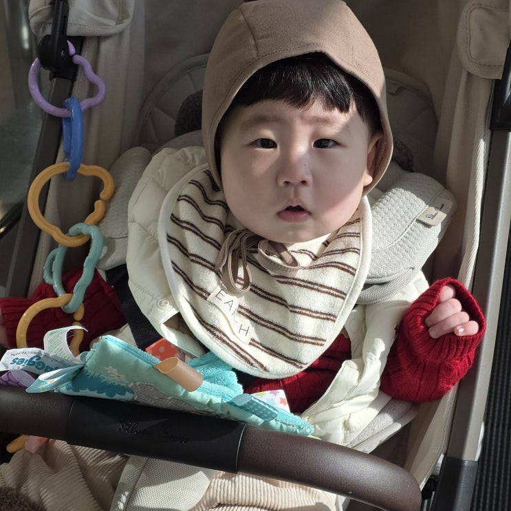 아기 겨울 외출 필수템 유모차 라이너 온열시트 폴레드 에어러브웜 후기