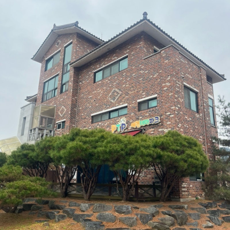 사진 6