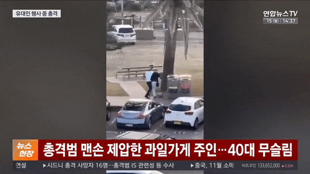 호주 <b>시드니</b> 본다이 비치... 겨냥한 '반유대주의 <b>테러</b>'의 충격과... 