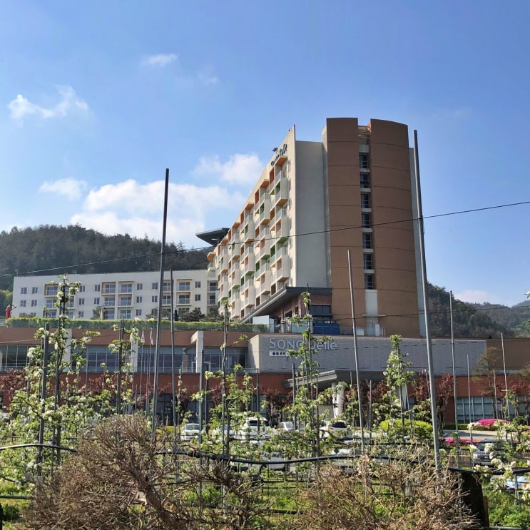  청송 소노벨 온천 호텔 패키지 겨울 가족여행 리조트 가볼만한곳 추천