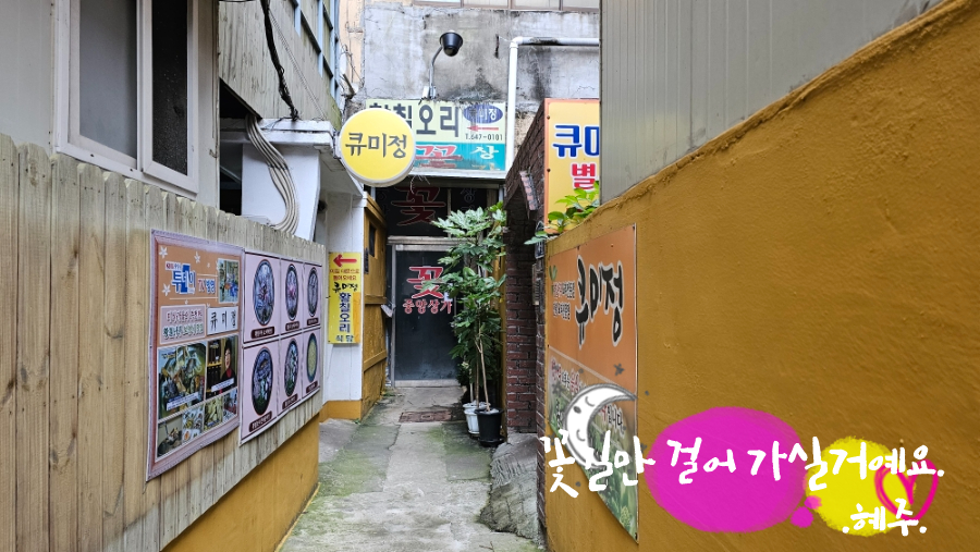 큐미정 사진 2