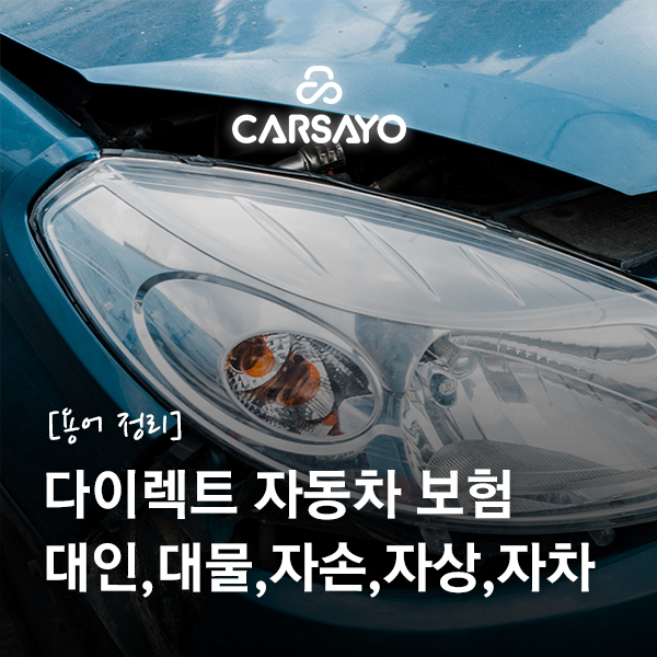 [용어 정리] 다이렉트 자동차 보험 : 대인, 대물, 자손, 자상, 자차 - 보장범위 및 한도
