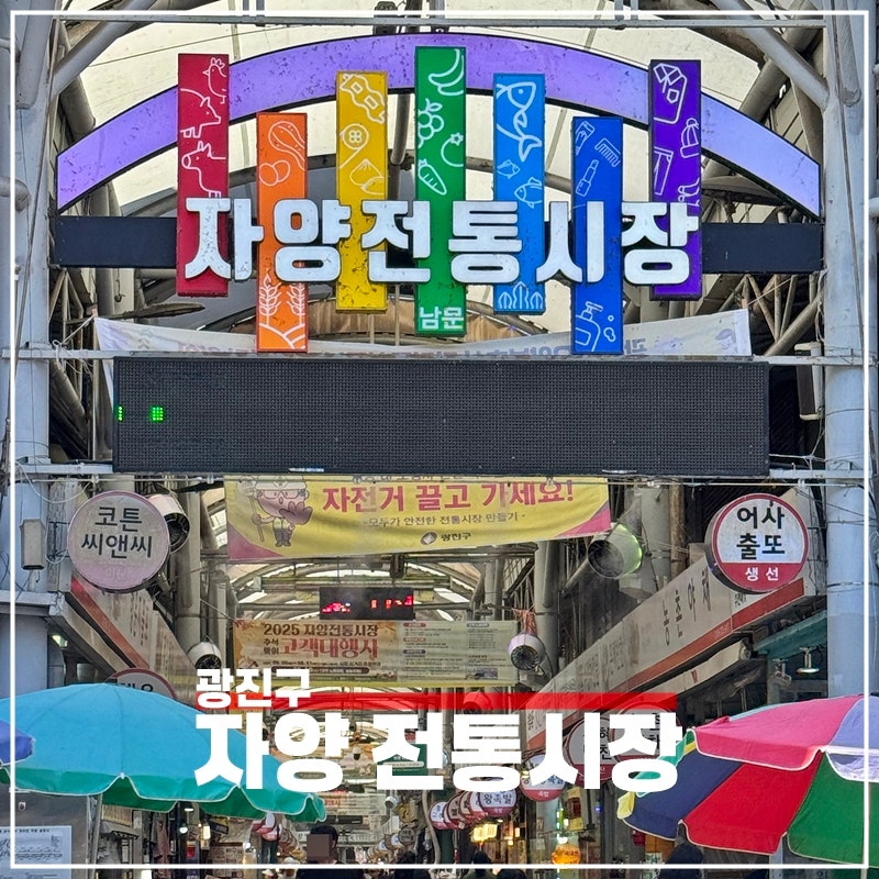 자양전통시장 소문난 맛집부터 편리한 주차장까지 총정리