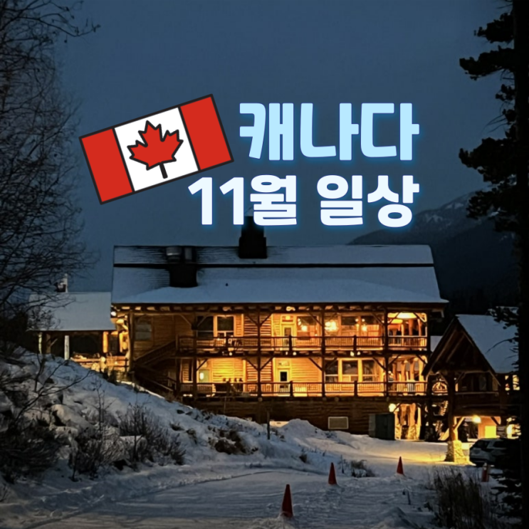   November :: 눈️ 지분 80%쯤 되는 캐나다 11월 일상