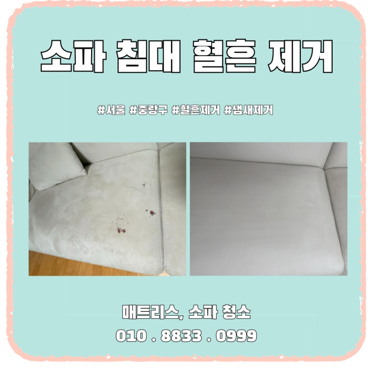  패브릭 소파 피 얼룩, 집에서 지우면 안 되는 이유와 올바른 해결 방법
