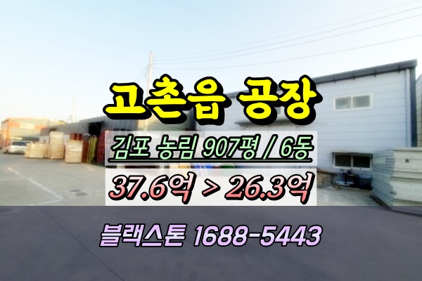 김포시 고촌읍공장 경매 향산리 1천평 2024타경42503