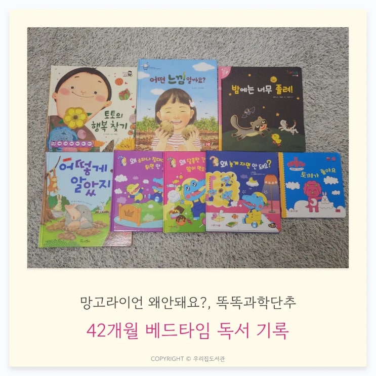  42개월 아이 책육아 베드타임 독서루틴, 망고라이언 왜안돼요?, 똑똑 과학단추, 열려라 지식문 함께 읽은 후기