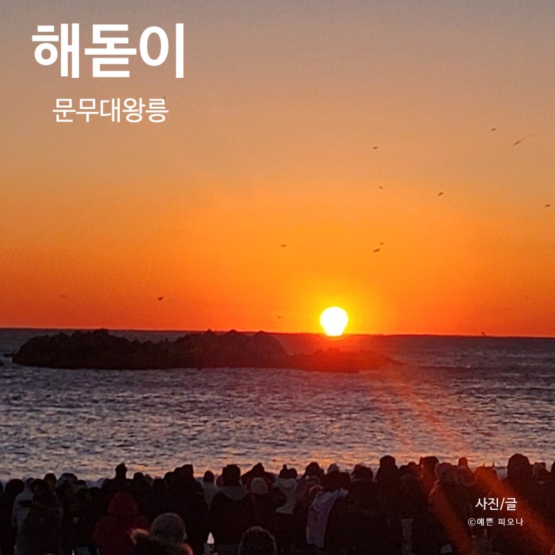 사진 5