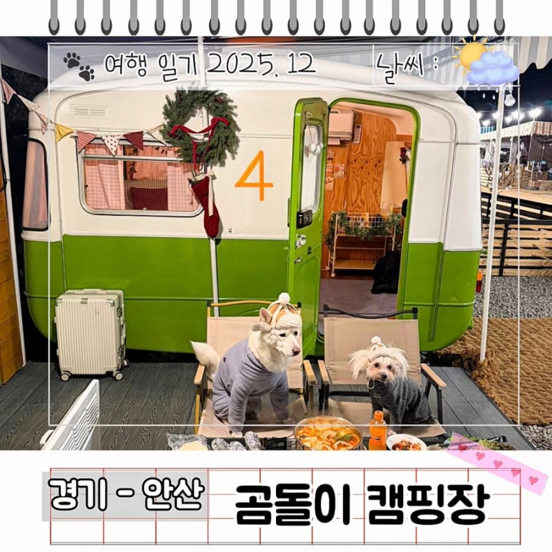 사진 6