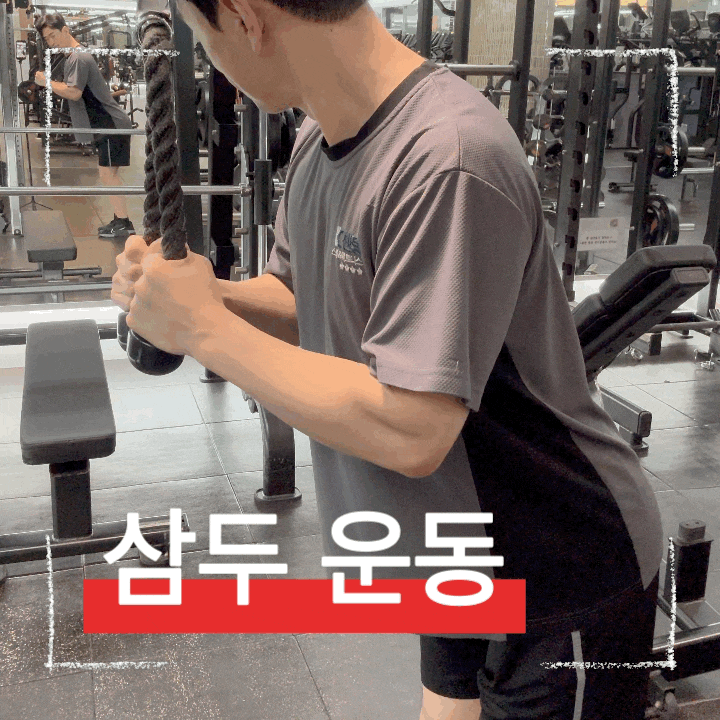  케이블 삼두운동 로프 푸시다운 하는 방법 및 꿀팁