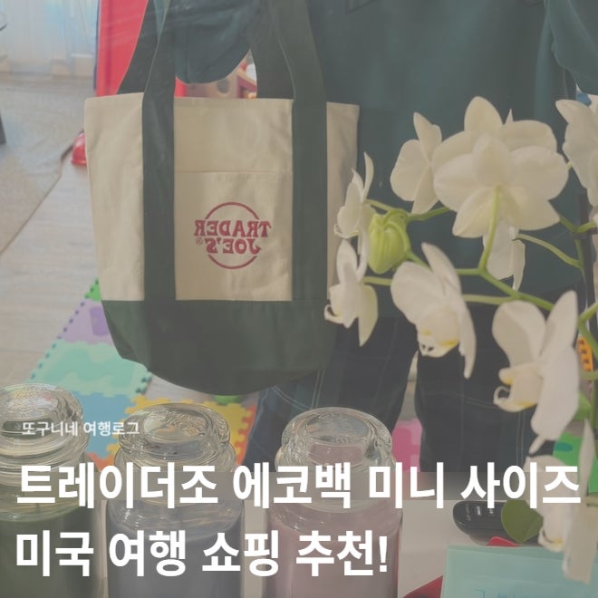  트레이더조 에코백 미니 사이즈 가방 가격 구매 후기, 미국 여행 쇼핑 추천!