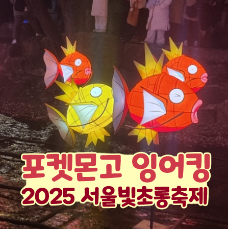  2025 서울빛초롱축제 포켓몬고 잉어킹 광화문 크리스마스 마켓