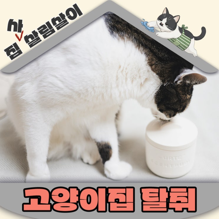  고양이 집에서 유르테 베이크아웃볼 고체 탈취제를 선택한 이유 장단점