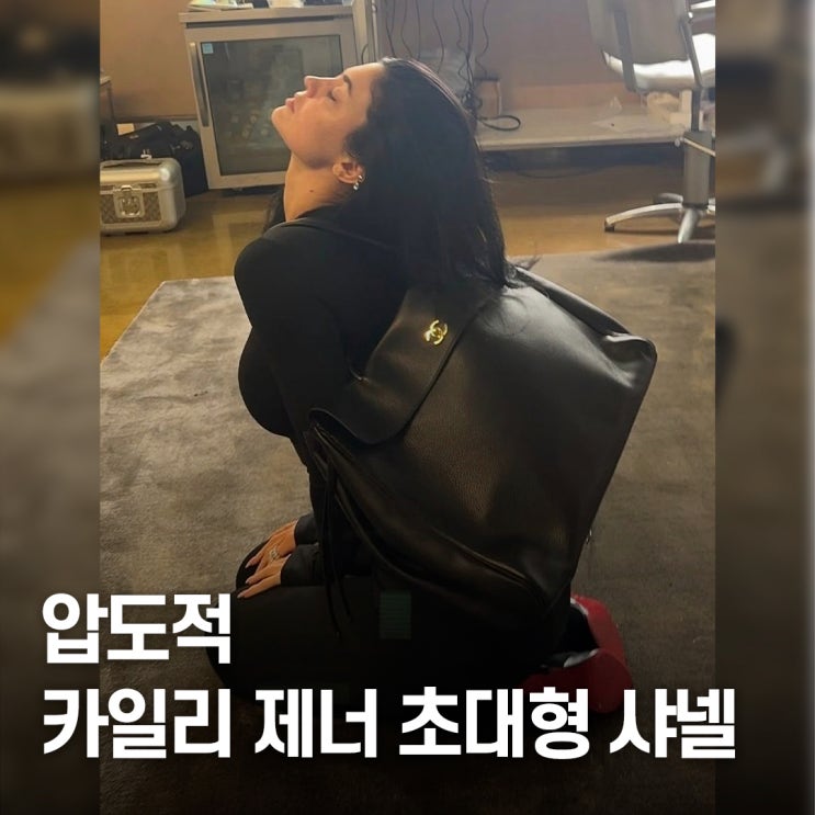  몸보다 큰 가방.. 카일리 제너 샤넬 과시 스타일 주목받은 장면