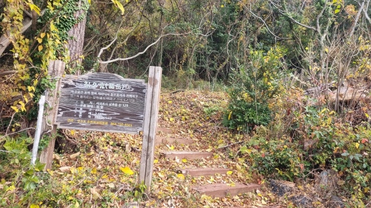 월라산 사진 1