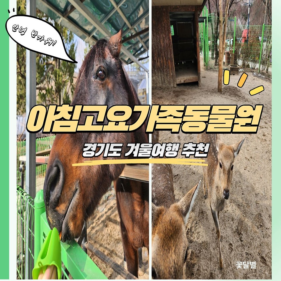 달달하주 사진 5