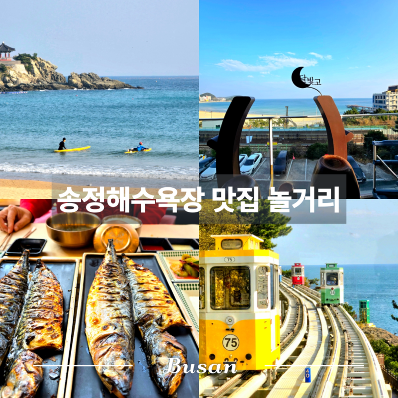 부산 겨울 여행 / 송정 해수욕장 데이트 놀거리 현지인 맛집 화덕 생선구이 달빛에구운고등....