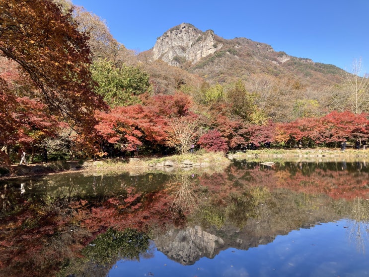  단풍의 절정.. "백양사"