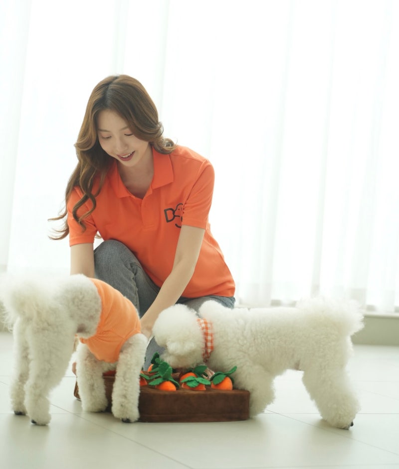 사진 4