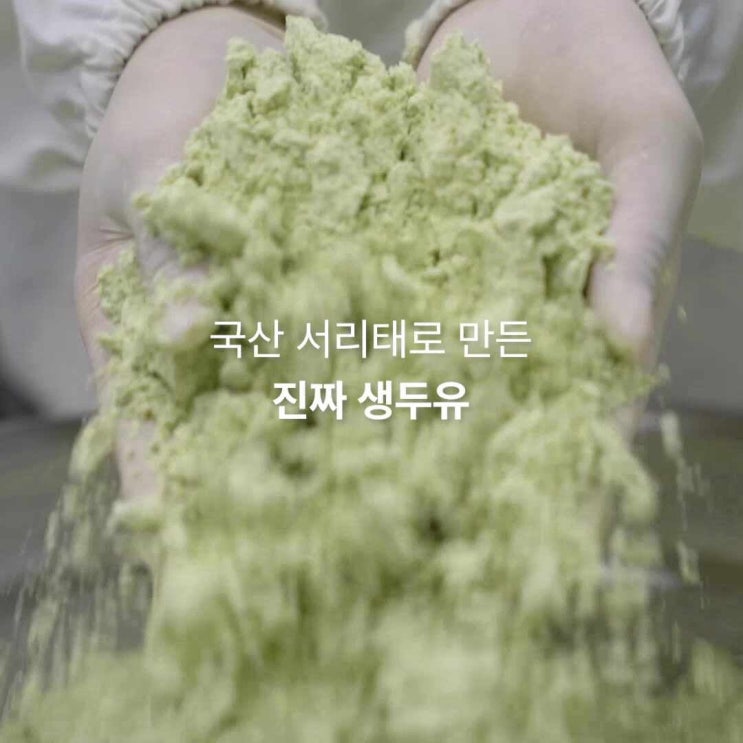  가루선생 타먹는 생두유 서리태 99.3 사용 후기 - 건강한 두유 선택