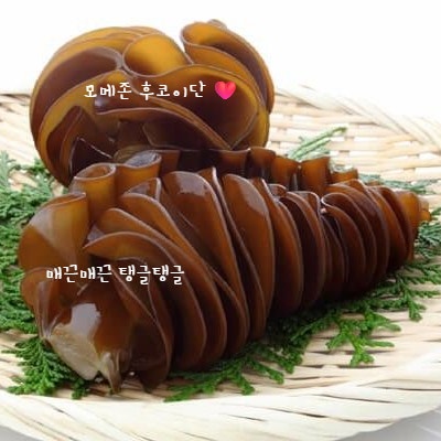  고양이 후코이단 성분 어떤 역할 할까