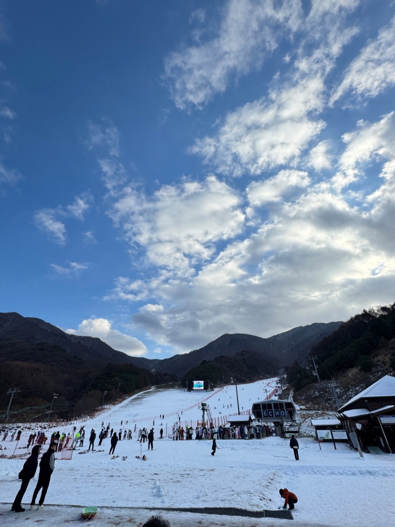 사진 2