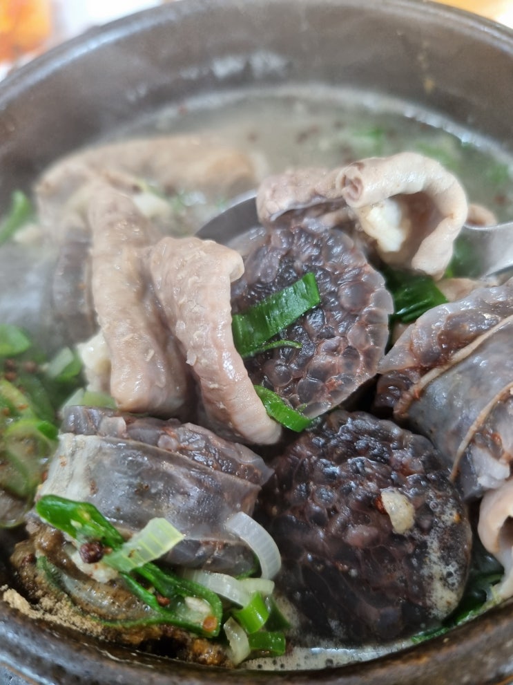  서귀포 현지인 맛집 성광식당 6천원 순대국