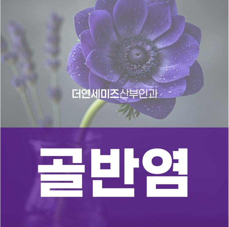  한티역골반염, 증상이 나아졌다고 치료를 멈추면 안되는 이유