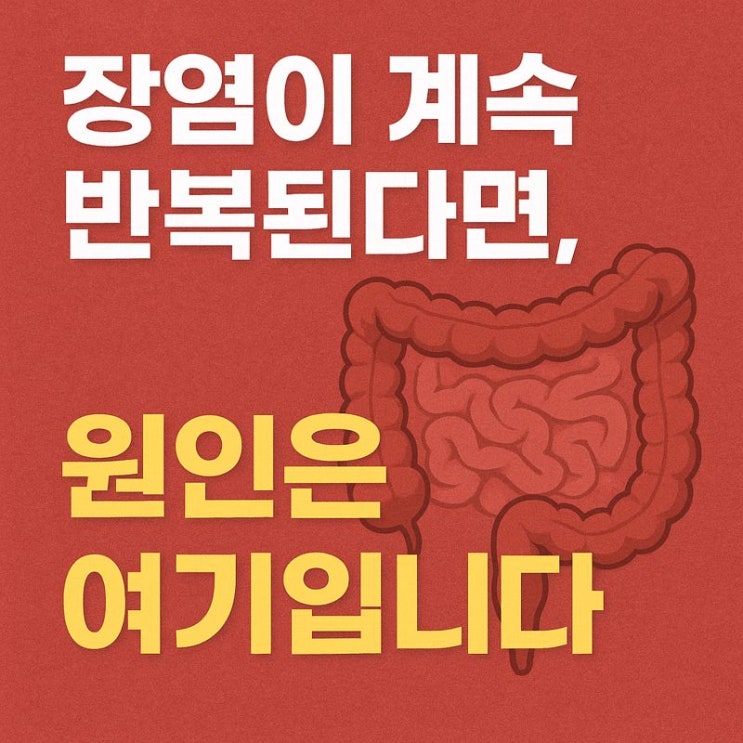   장염이 자주 재발하는 이유, 장 환경이 핵심입니다