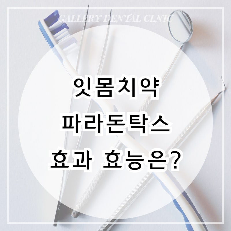 잇몸치약 파로돈탁스 사용 전 꼭 읽어보세요 효과 주의사항!