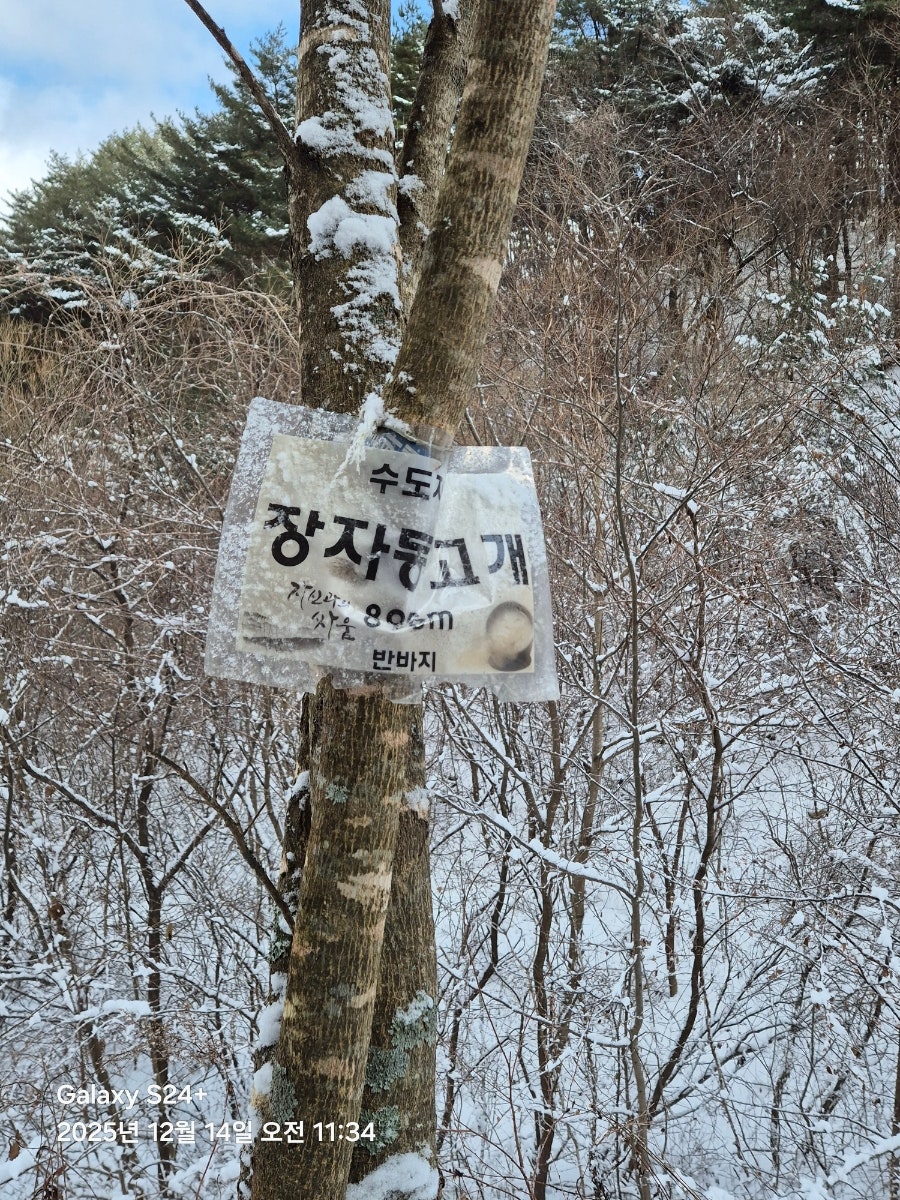 난석산 사진 4