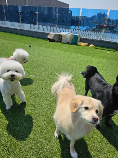 사진 4
