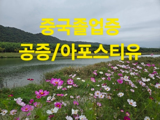  중국고등학교 졸업증명서 공증 및 아포스티유