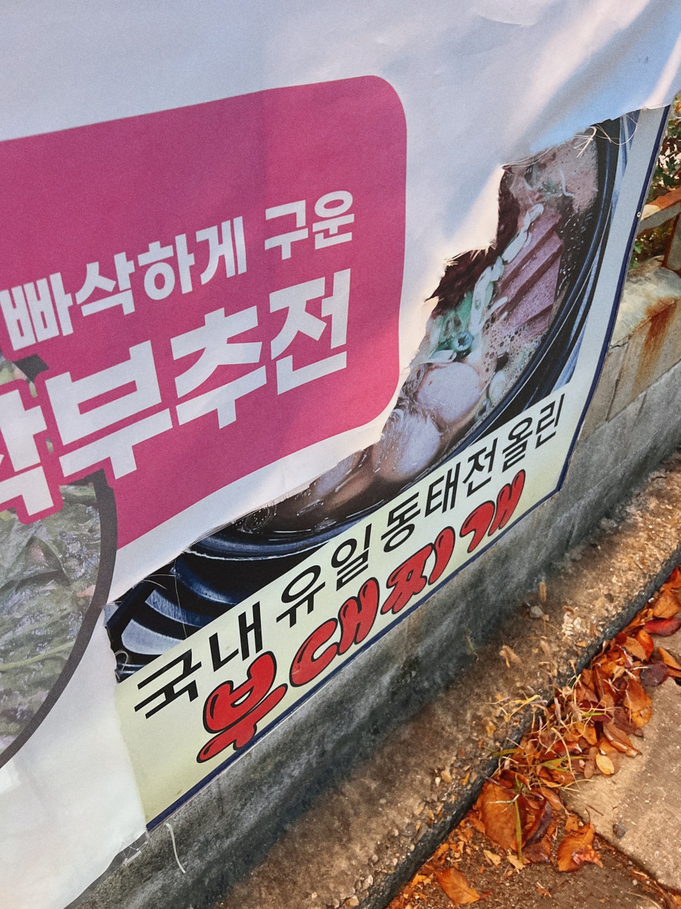 일미정 사진 3