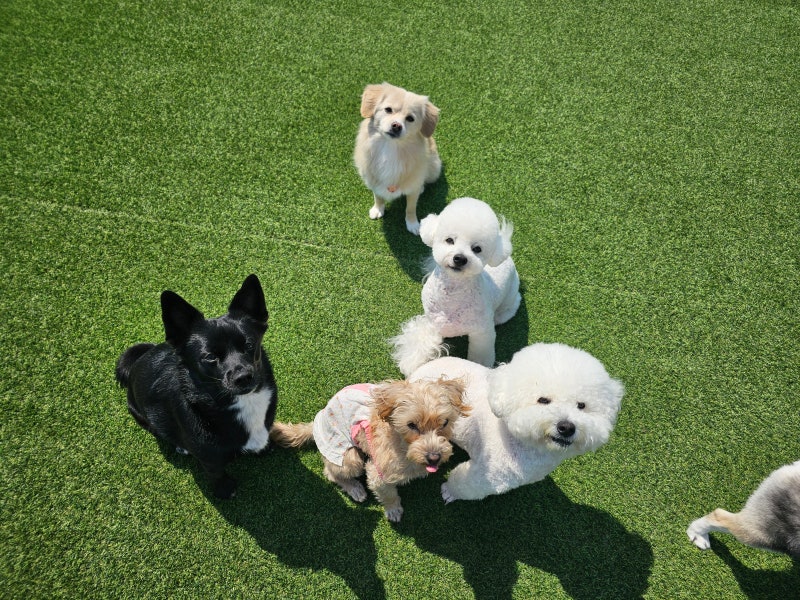 사진 3